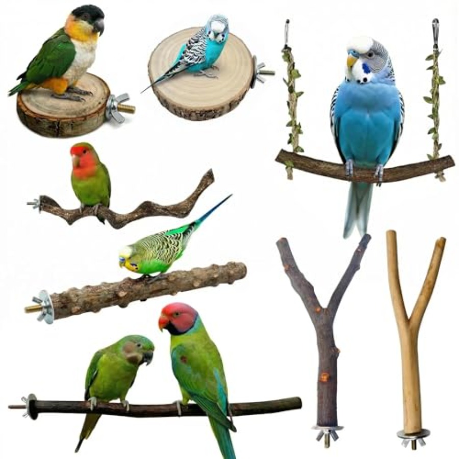 8 Stück Vogelsitzstangen aus N – Health & Wellness Lafayette Reviews Bewertung und Preis