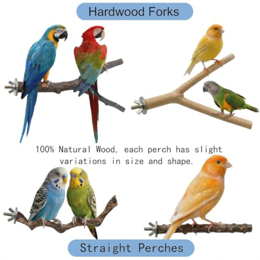 8 Stück Vogelsitzstangen aus N – Health & Wellness Lafayette Reviews Bewertung und Preis